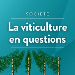 La viticulture en questions · RCF Cœur de Champagne