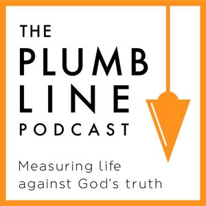 The Plumb Line