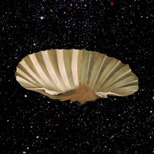 The Aphrodite Project
