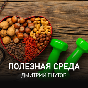 Полезная среда | Дмитрий Гнутов