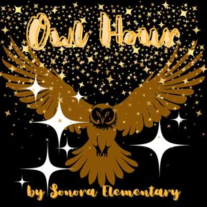 Owl Hour