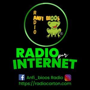 Anfi_bioos Radio