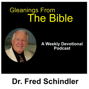Gleanings From the Bible