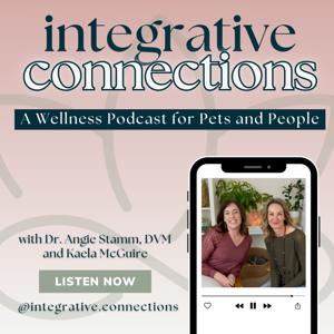 Integrative Connections