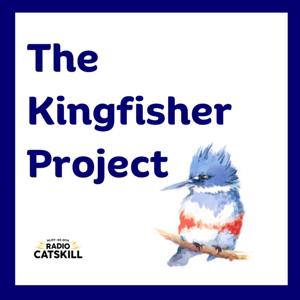 WJFF - The Kingfisher Project