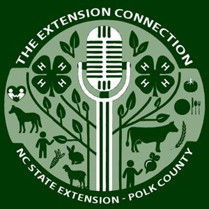The Extension Connection