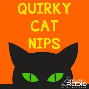 Quirky Cat Nips - Pet Life Radio Original