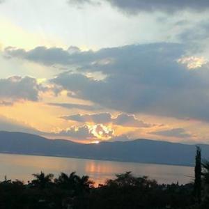 Guardianes de la Tierra