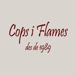 Cops i Flames