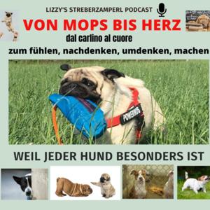 Von Mops bis Herz - weil jeder Hund besonders ist