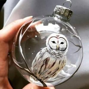 Where Do We Go From Here