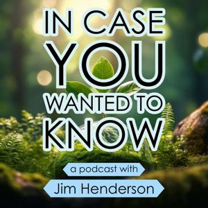 In Case You Wanted To Know