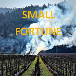 Small Fortune Podcast by Global Wine Partners