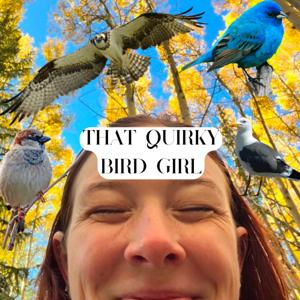conversations with that quirky bird girl
