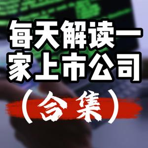 每天解读一家上市公司（视频合集）