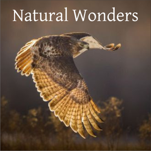 Natural Wonders