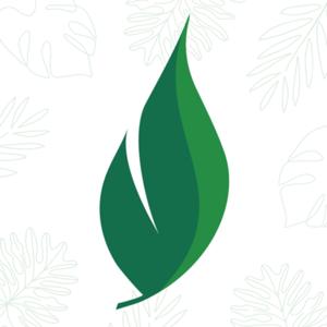 The Grove - Cottage Grove