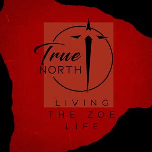 Living The Zoe Life