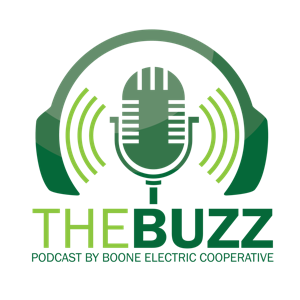 The Buzz