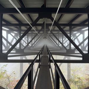 Black Bridge Mindset