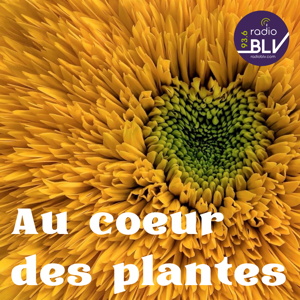 Au cœur des plantes