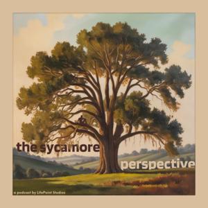 The Sycamore Perspective