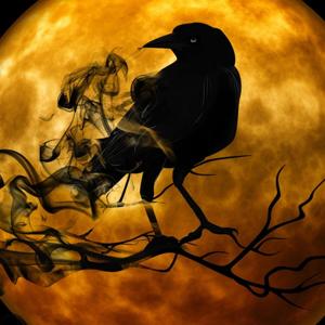 Tale Teller Club Horror Stories