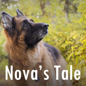Nova's Tale - Stories of a Heart Dog