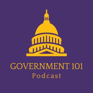 Government 101