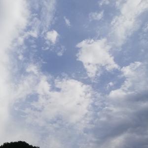 cristina-ansuini's Podcast