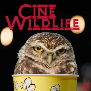 Cine Wildlife