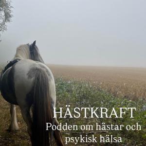 Hästkraft