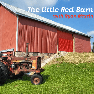 The Little Red Barn by Ryan Martin