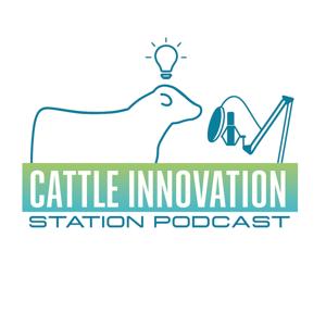 Cattle Innovation Station