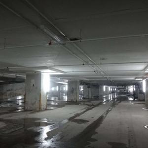 Ivan & Matthew Podcast