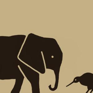 Elefant und Kiwi - vom Funktionieren ins Fühlen - Nervensystem, Emotionen, emotionale Muster