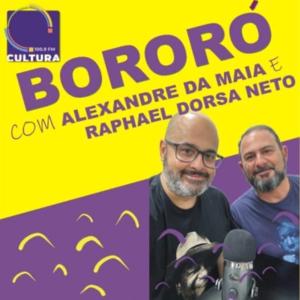 BORORÓ: a música no Brasil do século XX