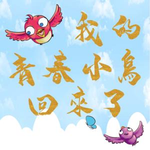 我的青春小鳥回來了