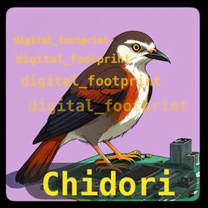 digital_footprint