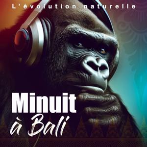 Minuit à Bali - Changer sa vie. Ou la vivre autrement.