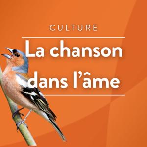 La chanson dans l'âme