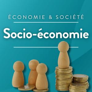 Socio-économie