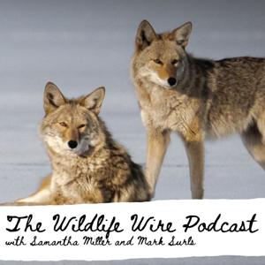 Wildlife Wire