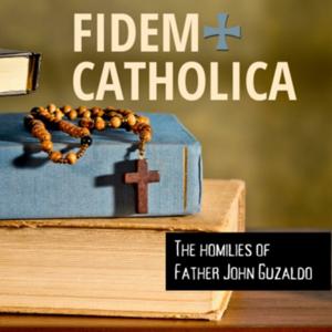 FIDEM CATHOLICA: Homilies from Father John Guzaldo