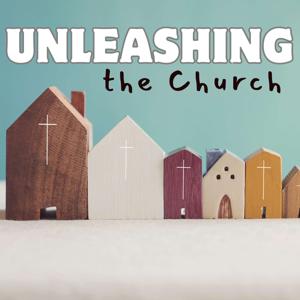 Unleashing the Church
