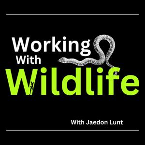 Working With Wildlife