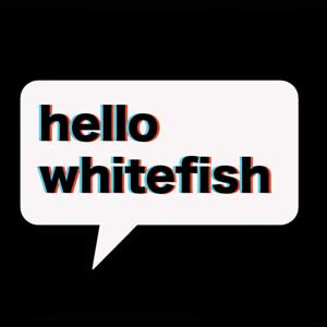 Hello Whitefish