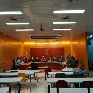 PLENS MUNICIPALS ARGENTONA