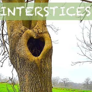 INTERSTICES