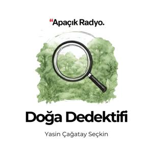 Doğa Dedektifi